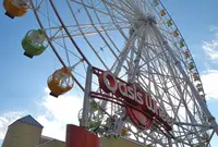 オアシスパークの写真・動画_image_21655