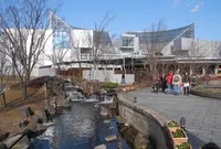 アクア・トトぎふの写真・動画_image_21657