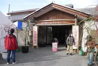 安八百梅園の写真・動画_image_22231