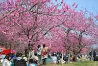 古河総合公園の写真・動画_image_22619