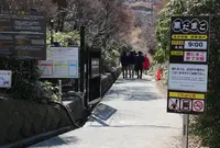 大涌谷温泉の写真・動画_image_24047