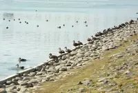 木曽川の写真・動画_image_24520