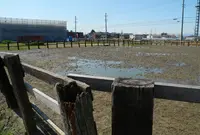 厩舎があるところの写真・動画_image_24701