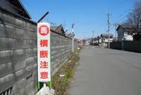 厩舎があるところの写真・動画_image_24703