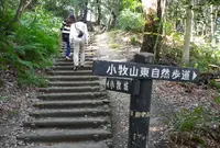 小牧山の写真・動画_image_24740