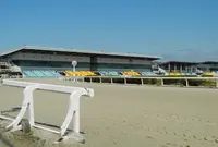 笠松競馬場の写真・動画_image_24882