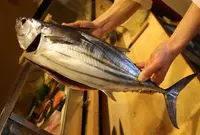 すし匠五条の写真・動画_image_25296