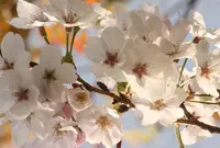 瀬戸公園の写真・動画_image_25406