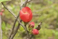 アークヒルズの写真・動画_image_26376