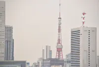 晴海ふ頭公園の写真・動画_image_26421