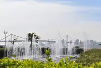 晴海ふ頭公園の写真・動画_image_26423
