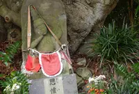 成願寺の写真・動画_image_26503
