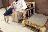 ワンニャンふれあいルームの写真・動画_image_26575