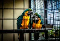 草津熱帯圏の写真・動画_image_26600