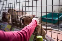 草津熱帯圏の写真・動画_image_26603