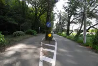 旧リバーサイド道路の写真・動画_image_26995