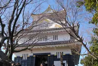 岐阜城の写真・動画_image_27022