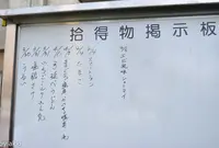 東京都中央卸売市場築地市場の写真・動画_image_27211