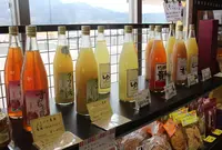 道の駅富士川の写真・動画_image_33584