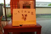平山郁夫美術館の写真・動画_image_35135
