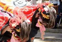 利賀村の写真・動画_image_35439