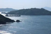 来島海峡大橋の写真・動画_image_37237