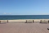 大浜海水浴場の写真・動画_image_37559