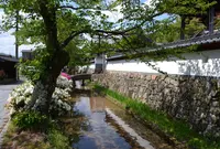 法樹寺の写真・動画_image_38996