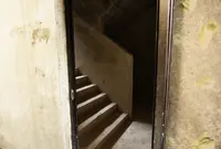 ワンダーフォーゲルフィールドの写真・動画_image_41005
