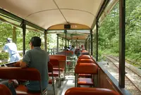 赤沢自然休養林の写真・動画_image_41213
