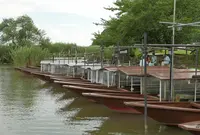 水郷のさとまるやまの写真・動画_image_42090