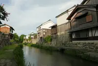八幡川緑地の写真・動画_image_42102