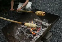 越前市八ツ杉森林学習センターの写真・動画_image_42449