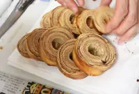 越前市八ツ杉森林学習センターの写真・動画_image_42450