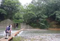 巾着田の写真・動画_image_45097