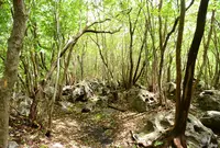 平野台高原展望所の写真・動画_image_45339