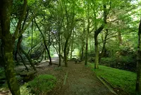 山吹水源の写真・動画_image_45948