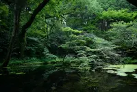 山吹水源の写真・動画_image_45949