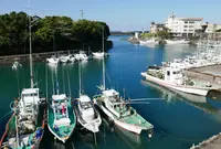 第25番札所 宝珠山 真言院 津照寺の写真・動画_image_46430