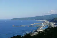 最御崎寺の写真・動画_image_46431