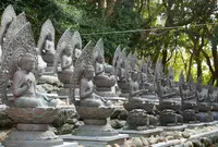 金剛福寺の写真・動画_image_46595