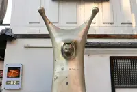 よくわからないキャラの写真・動画_image_47406