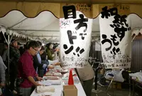美濃和紙あかりアート展の写真・動画_image_47609