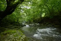 マゼノ渓谷の写真・動画_image_47732