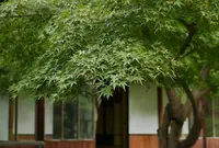 六華苑の写真・動画_image_47868