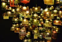 東遊園地の写真・動画_image_49494