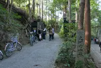 嵯峨野竹林の写真・動画_image_49797