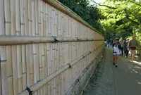 嵯峨野竹林の写真・動画_image_49798