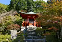 醍醐寺三宝院の写真・動画_image_49860