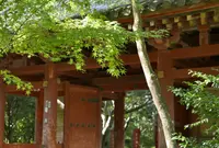 醍醐寺三宝院の写真・動画_image_49861
